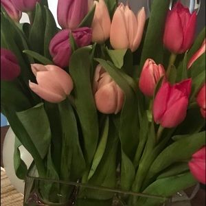 Meet your Posher, Tracie